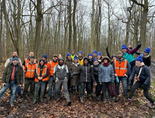 Atelier plantation avec PepsiCo : ensemble, régénérons nos forêts !